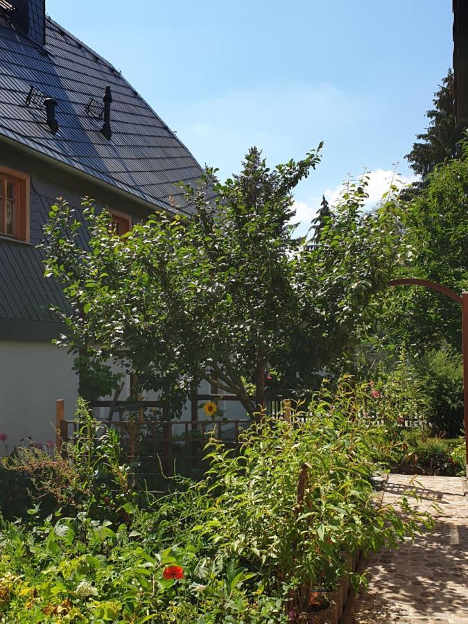 Oekologische Ferienwohnung Becker Kottmar Ngoại thất bức ảnh